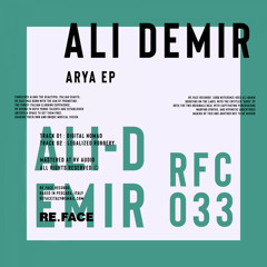 Ali Demir - Digital Nomad (Original Mix)