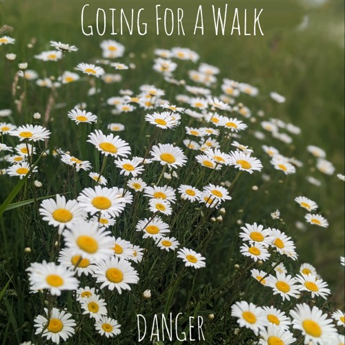 Going For A Walk