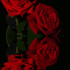 RED !! (prod. gexales)