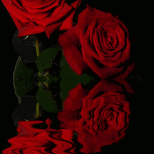 RED !! (prod. gexales)
