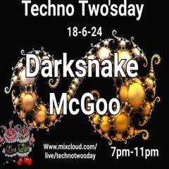 Darksnake Special Techno "Techno Two'Day 10" Mixcloud Live 18.6.2024
