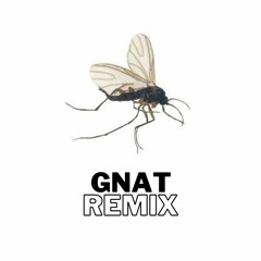 Gnat (Eminem Remix)