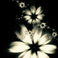 Missing Poster - Budman (slowed)