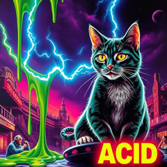 Riveck - Highlighting the Rythm in Acid