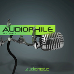 Spin Spirit (Audiomatic & Vaishiyas Remix)