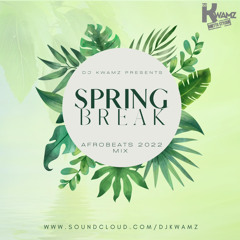 Spring Break Afrobeats Mix