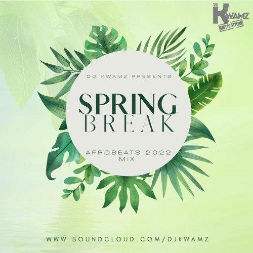 Spring Break Afrobeats Mix