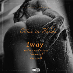 Citrus in Florida - 1way