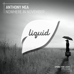 SPRLIQ049 | Anthony Mea - Nowhere In November EP