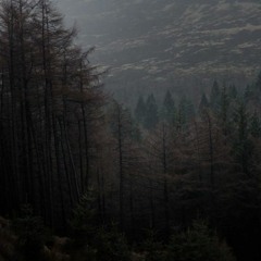 death is a second life