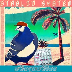 stablio system - 17