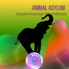 Animal Asylum (Experimental Worldbeat)