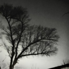 nightshade (prod. cxrter)