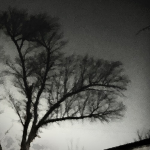 nightshade (prod. cxrter)