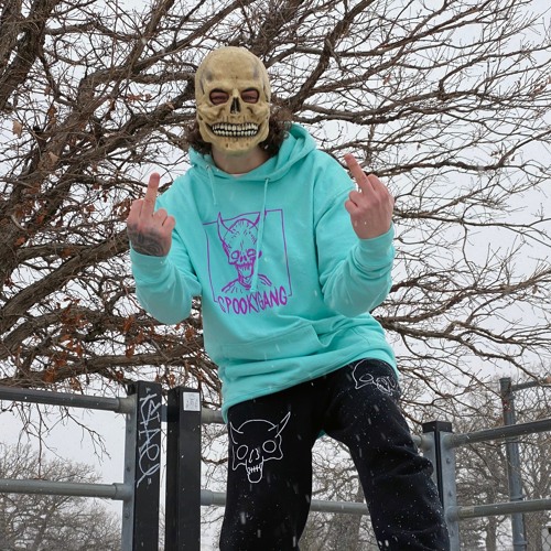 take money (prod spookygang)(2pac remix)