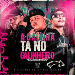 A GALINHA TA NO GALINHEIRO