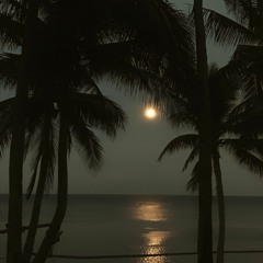 one energy - different stories