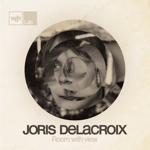 Joris Delacroix – Room With View