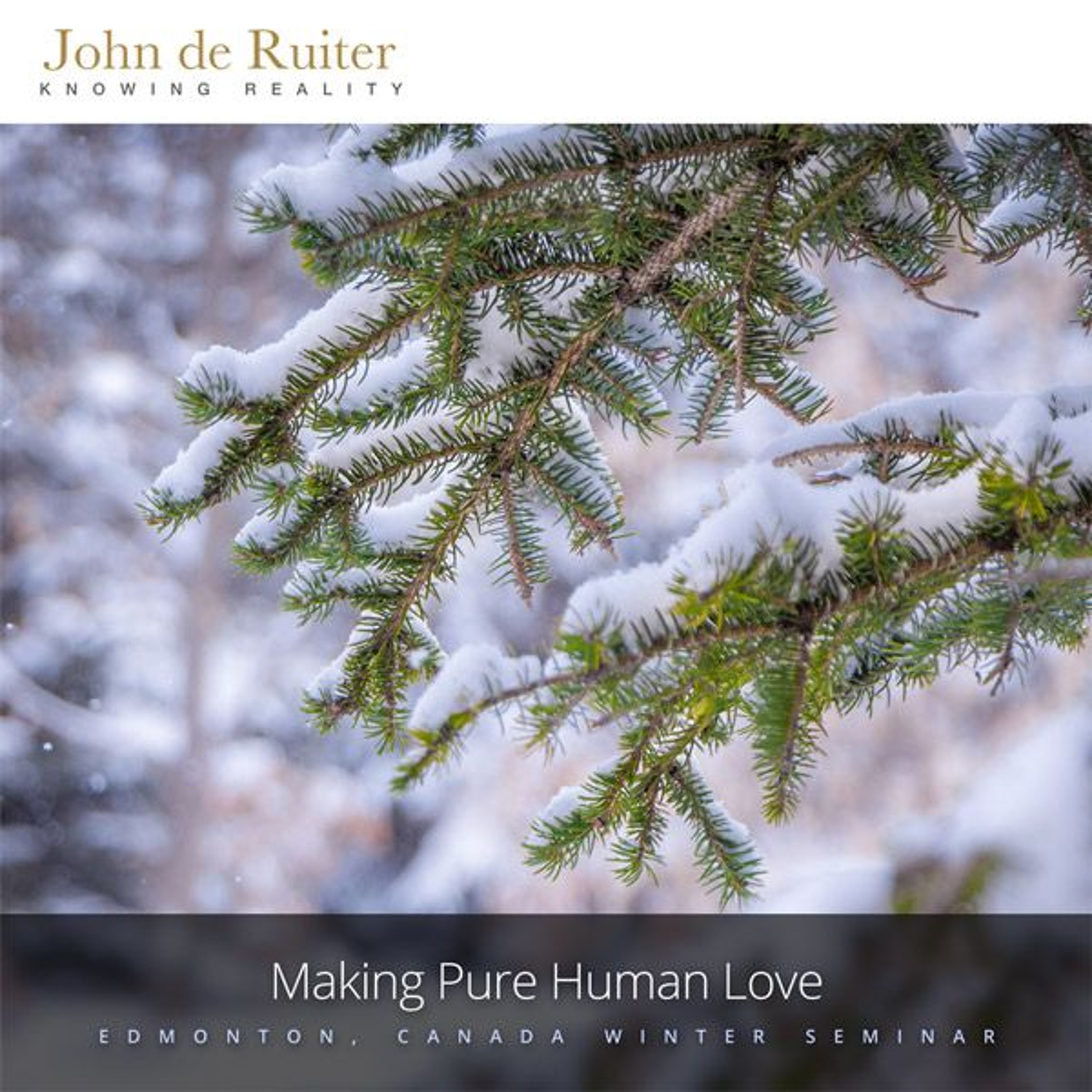 260 - Making Pure Human Love - 2 of 2 episode artwork