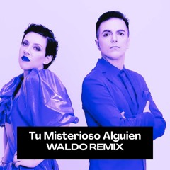 Tu Misterioso Alguien (Waldo House Remix)