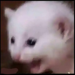 Alguien Me Metió El Pie