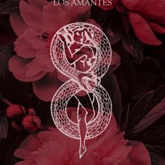 DSNOW Live at Los Amantes, Madrid