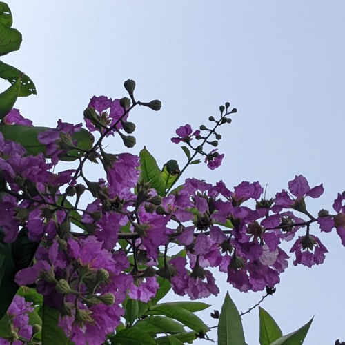 Tomar Obhishare (তোমার অভিসারে) Official Music.mp3