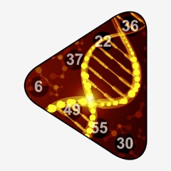 The Human Experiential Way | Emotionality in the Time of Mutation Excerpt