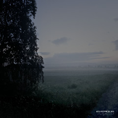 16: Where Light Once Died