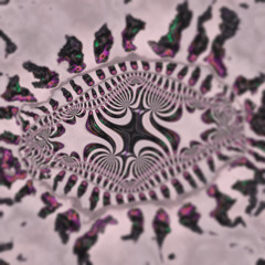 LIQUID_DNB_SET | Psy and Bass Gathering 02.11.25