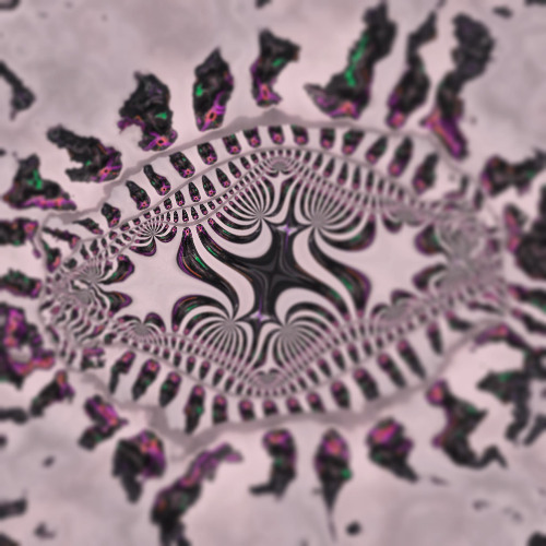 LIQUID_DNB_SET | Psy and Bass Gathering 02.11.25