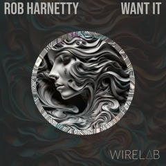 Rob Harnetty - Want It (Original Mix)