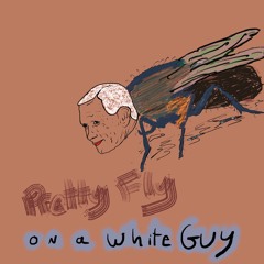 05 Pretty Fly On A White Guy (Feat. MC Lars)