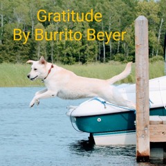 Gratitude