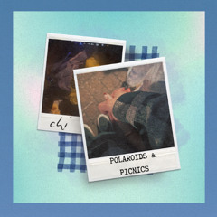 polaroids & picnics