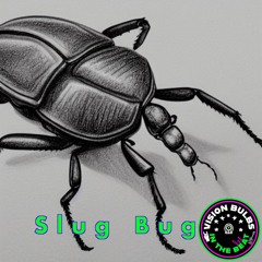 Slug Bug