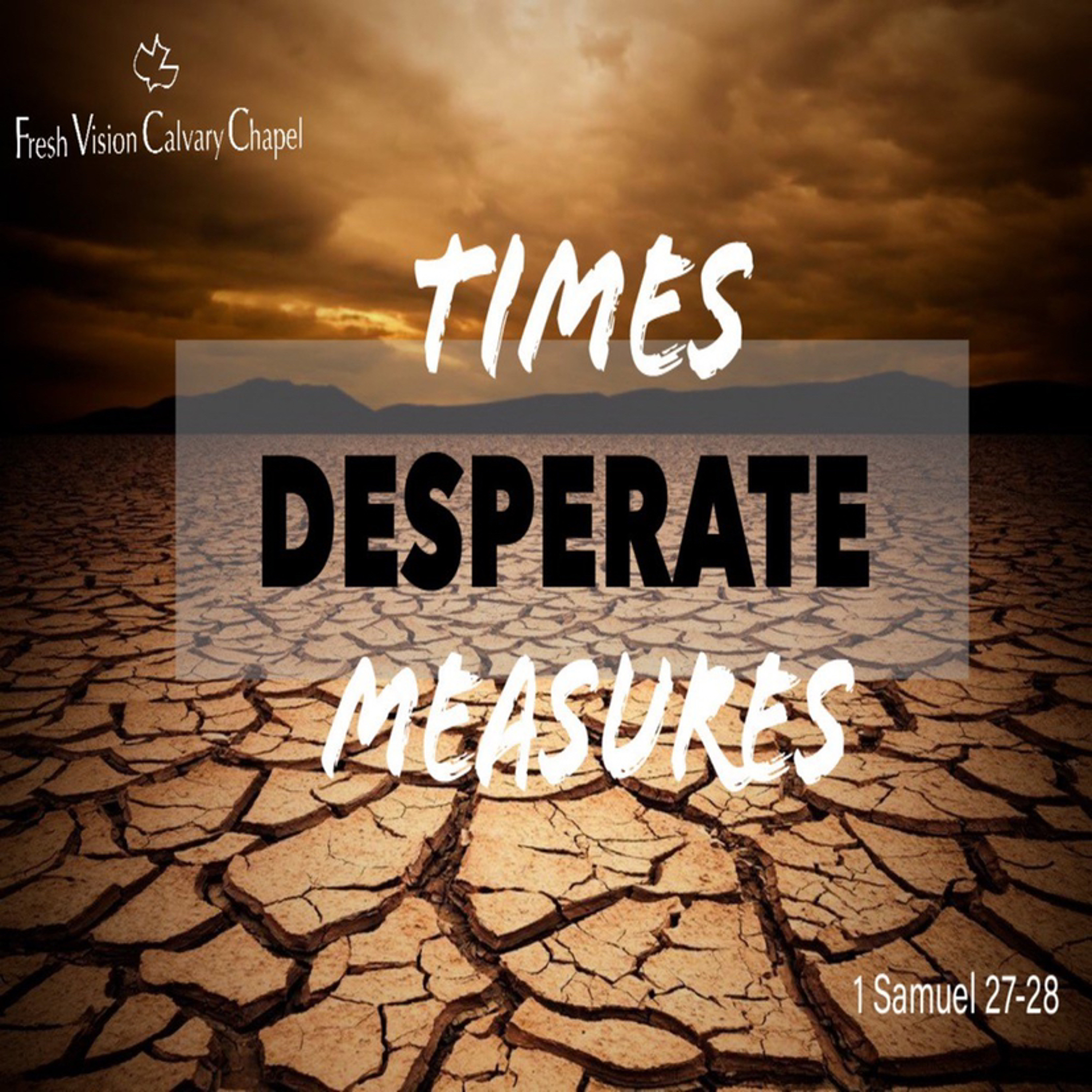 Desperate Time, Desperate Measures episode artwork