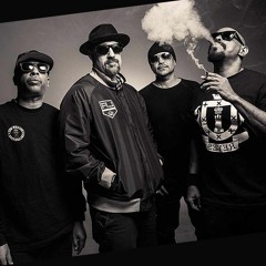 Cypress Hill -  Hits From The Bong (Zakebusch Purple Bud Mix)