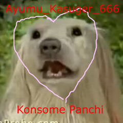Konsome Panchi