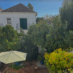 Lemon House Jam II