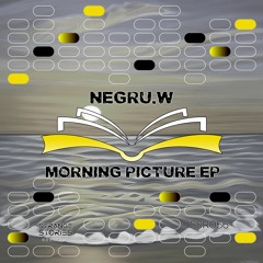 PREMIERE: negru.w - Morning Picture [SSR056]