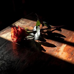 You Finally Convinced Me