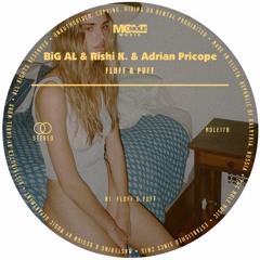 PREMIERE: BiG AL & Rishi K. & Adrian Pricope - Fluff & Puff [Mole Music]