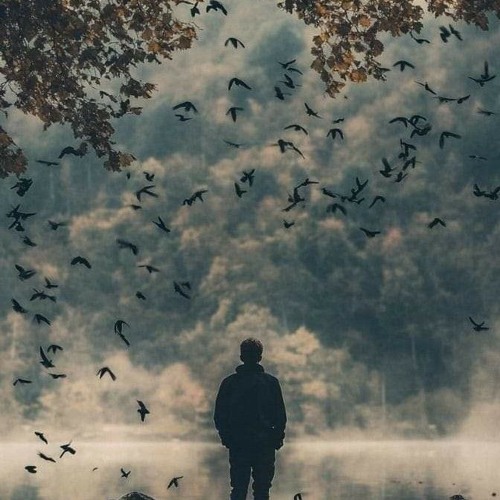 للـهِ قَلبيَ ..! |زياد أيمن.