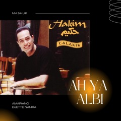 Ah Ya Albi X Amapiano (Nanixa Edit)