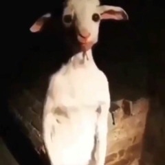Costume! (goat) Prod. SmazzeBeats