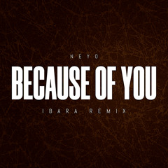 Ne-Yo - Because Of You (IBARA REMIX)