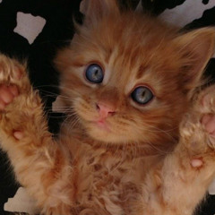 Umulie House and chill mix 1