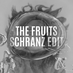 The Fruits - Paris Paloma (tobasco Schranz Edit)