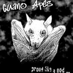 Guano Apes - Lords of the Boards [slowed + reverb]